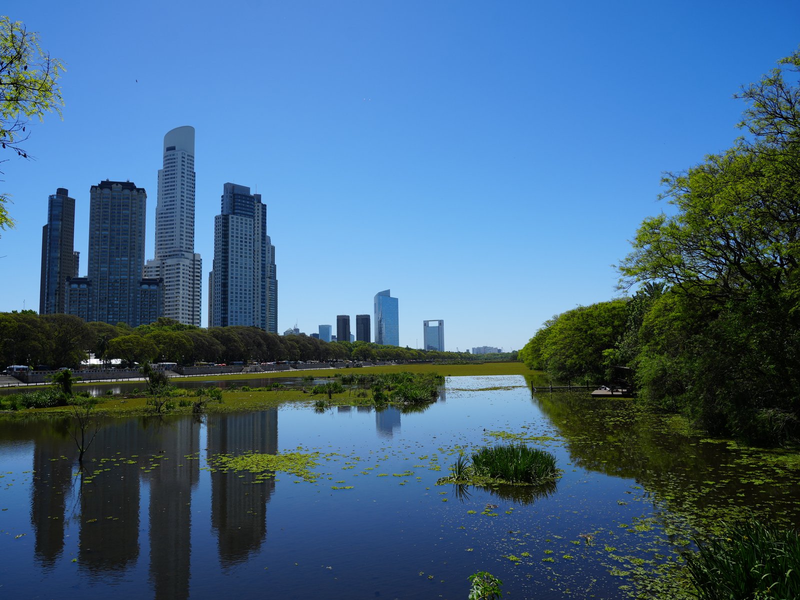 La Reserva Ecológica Costanera Sur cumple 40 y lo celebra con actividades para todos los vecinos