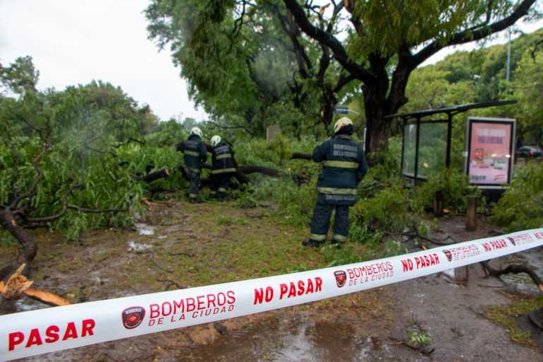 La Ciudad acelera el plan de poda invernal para el mantenimiento del arbolado urbano